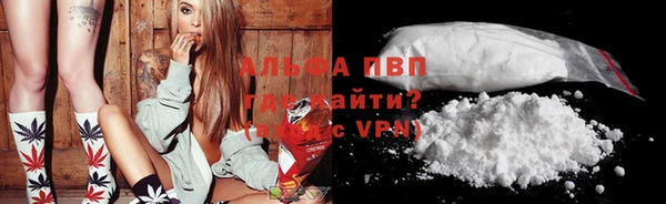 ГАЛЛЮЦИНОГЕННЫЕ ГРИБЫ Кирс