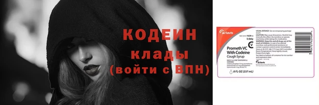 ГАЛЛЮЦИНОГЕННЫЕ ГРИБЫ Кирс