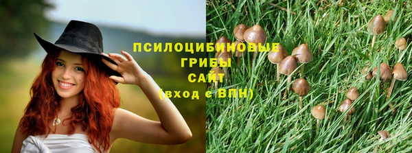 дживик Киселёвск