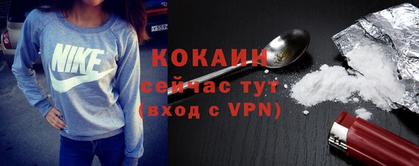 мет Няндома
