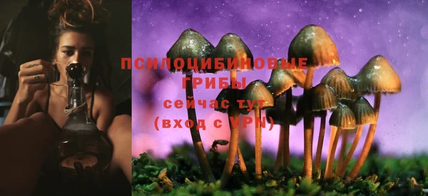 кристаллы Нягань