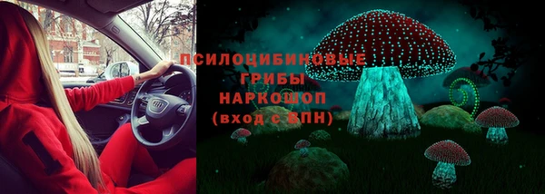 мет Няндома