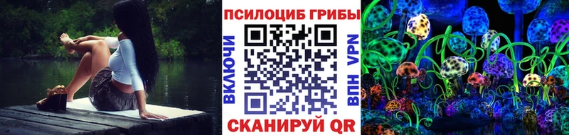 Псилоцибиновые грибы мицелий  Кинешма 