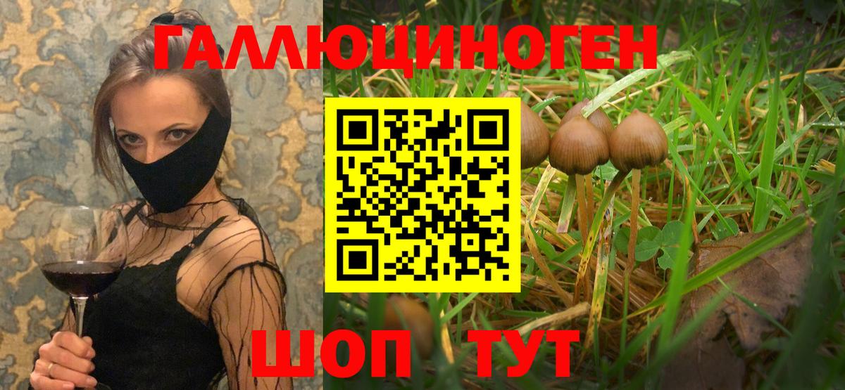 Галлюциногенные грибы мухоморы Кинешма