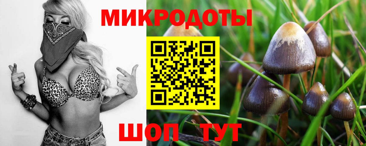 как найти закладки  Псилоцибиновые грибы ЛСД  Вход с VPN  Галлюциногенные грибы MAGIC MUSHROOMS  Кинешма 